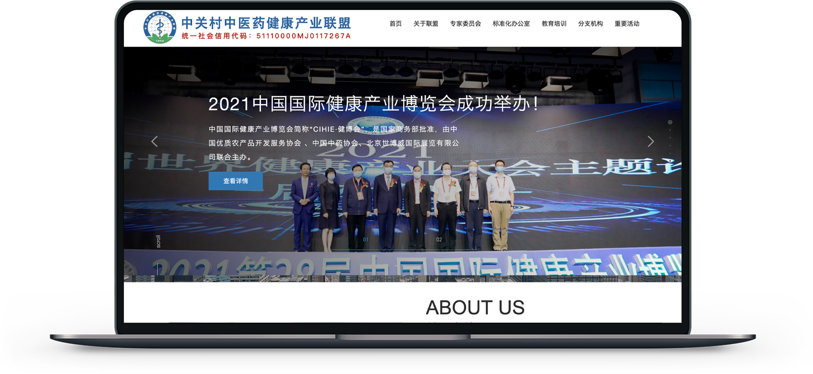 中医药集团网站设计